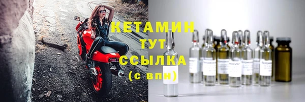 прущие грибы Краснослободск