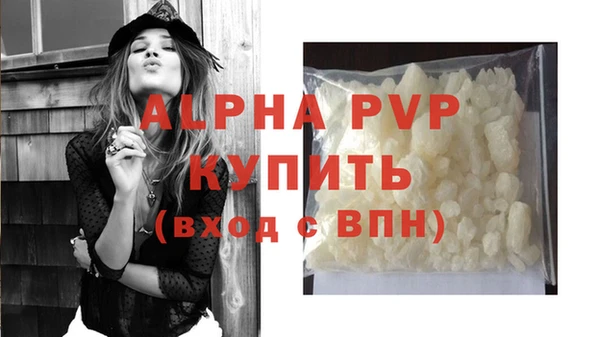 прущие грибы Краснослободск