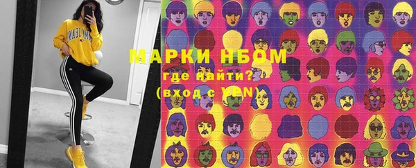 прущие грибы Краснослободск