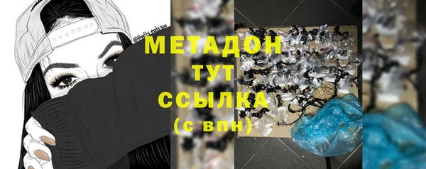 прущие грибы Краснослободск