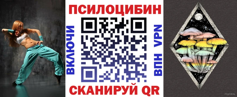 Купить  Плавск  Галлюциногенные грибы Psilocybine cubensis 