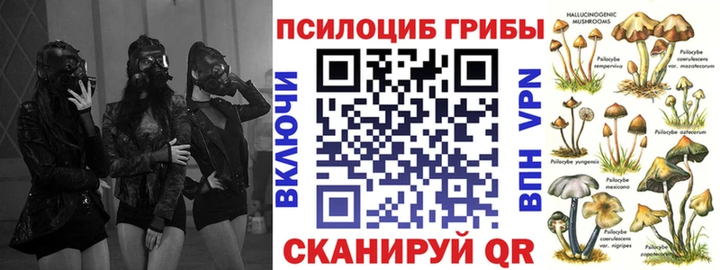 Галлюциногенные грибы мицелий Плавск